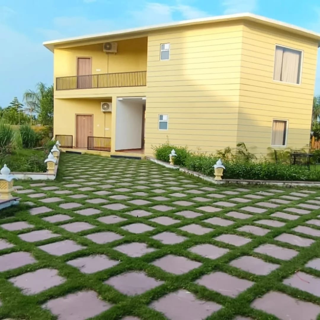 Lush Green Garden